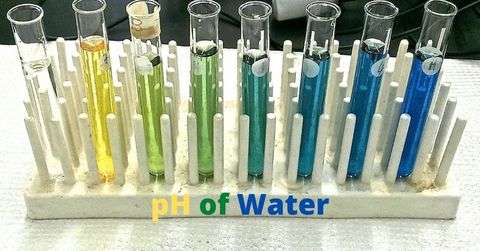 pH of water