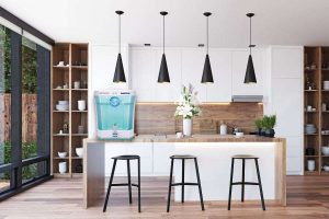 Kent Maxx Water Purifier Expert Review 9 kent maxx