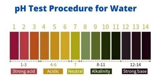 ph test procedure for water