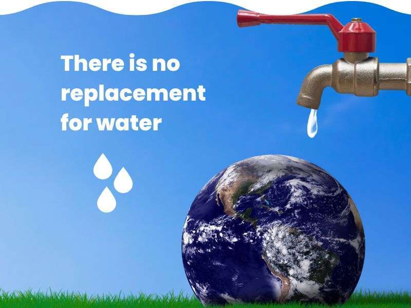 30+ Top Poster on Save Water will Influence to People's 27 there is no replacement for water