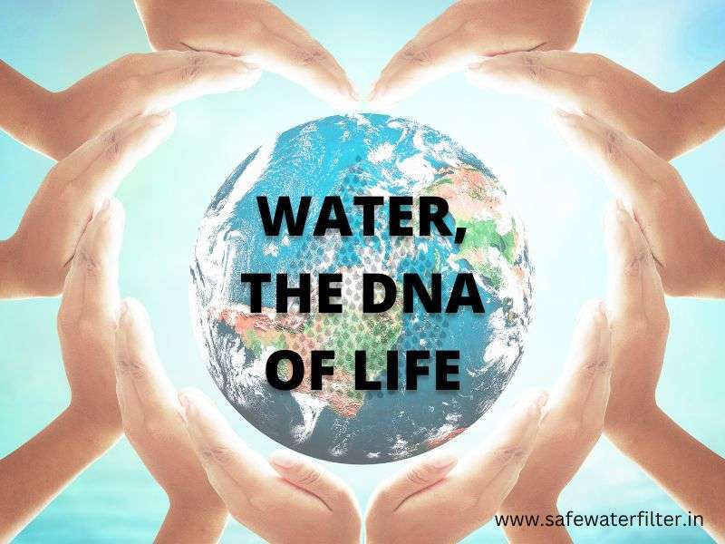 water the dna of life