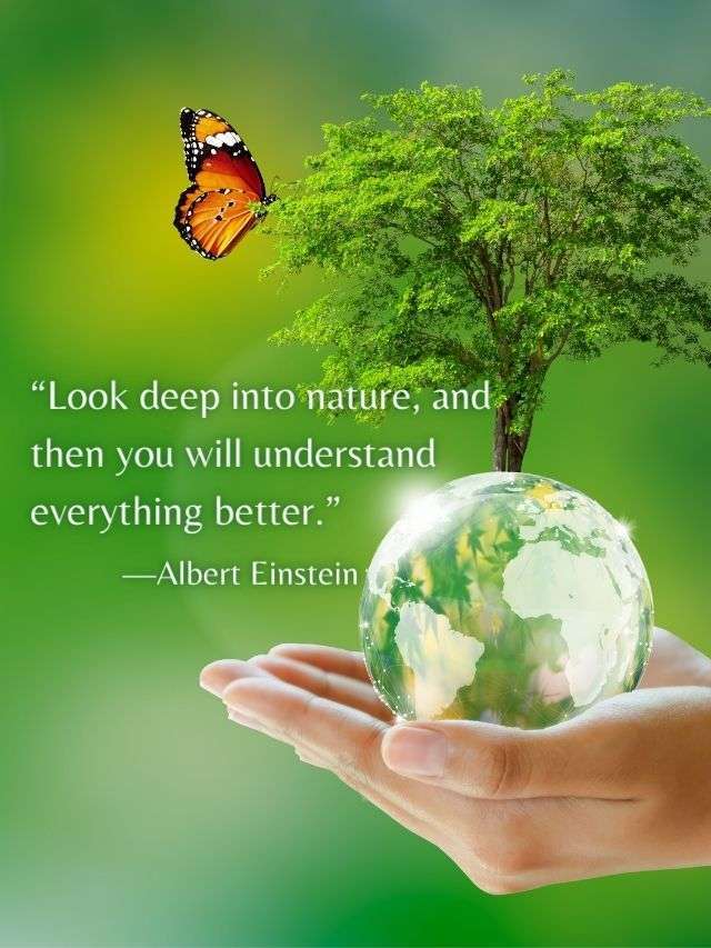 80+ Best Posters on Earth day | HD Images 25 earth day quotes