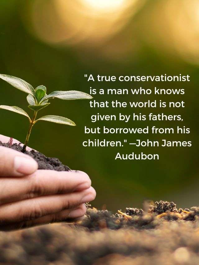 80+ Best Posters on Earth day | HD Images 29 earth day quotes