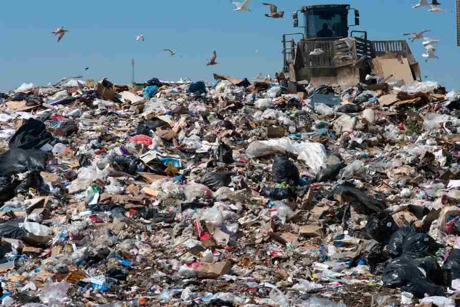 What are the water pollution causes? 4 landfill