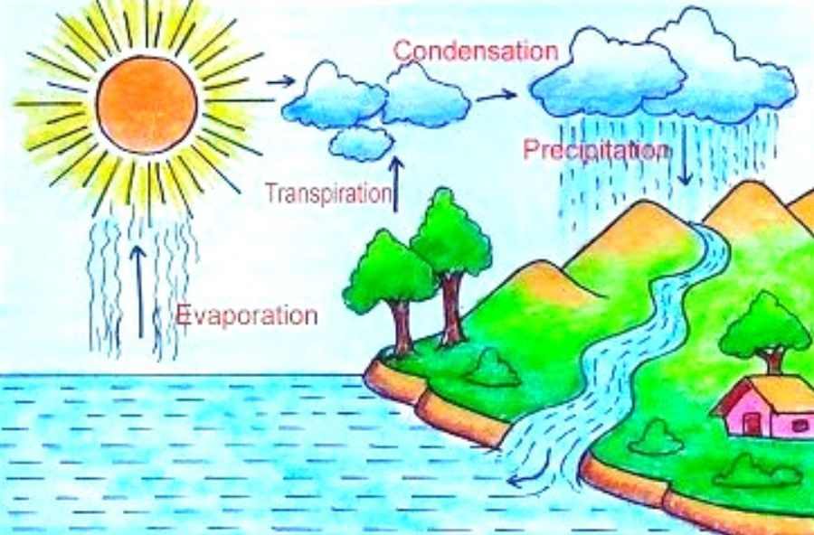 What Is A Water Cycle?