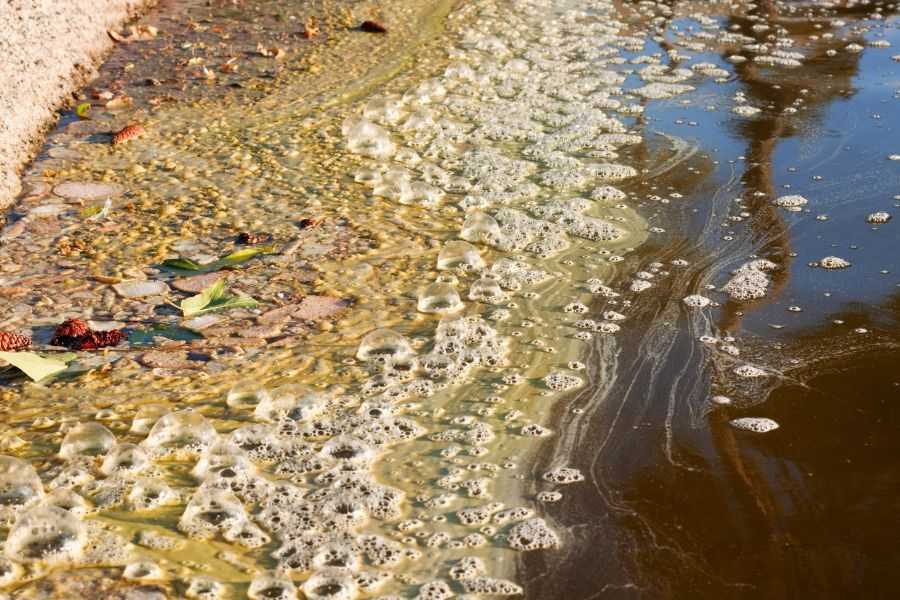 30+ Heartbreaking Water pollution images 26 pictures about water pollution 3