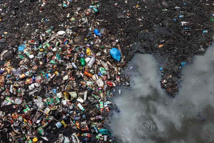 30+ Heartbreaking Water pollution images 27 pictures about water pollution 4