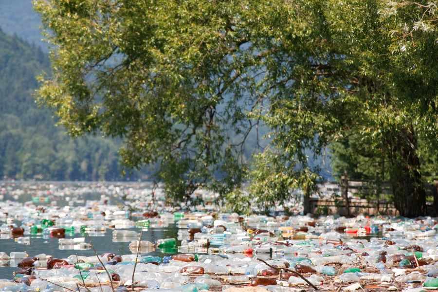 30+ Heartbreaking Water pollution images 30 pictures about water pollution 7