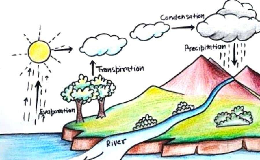 What Is A Water Cycle?