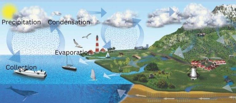 What Is A Water Cycle?