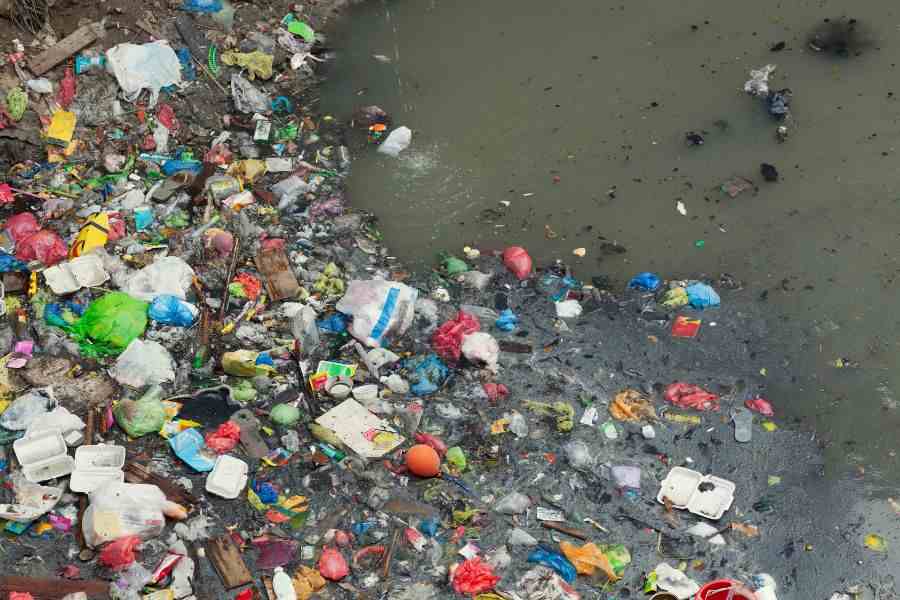 What are the water pollution causes? 2 water pollution 1