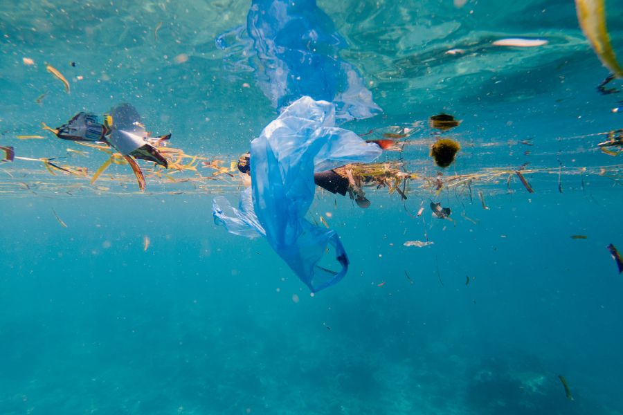30+ Heartbreaking Water pollution images 11 water pollution image 10