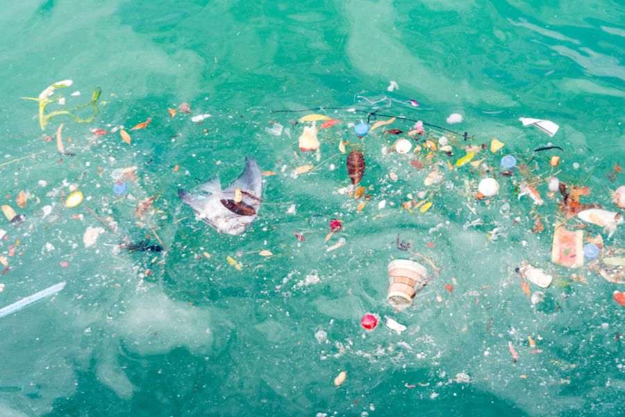 30+ Heartbreaking Water pollution images 18 water pollution image 17