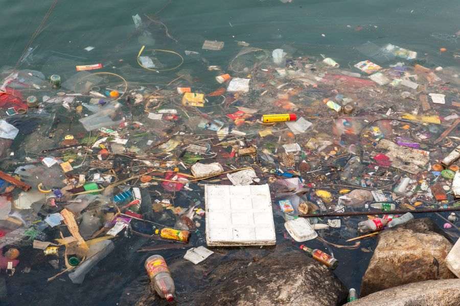 30+ Heartbreaking Water pollution images 19 water pollution image 18