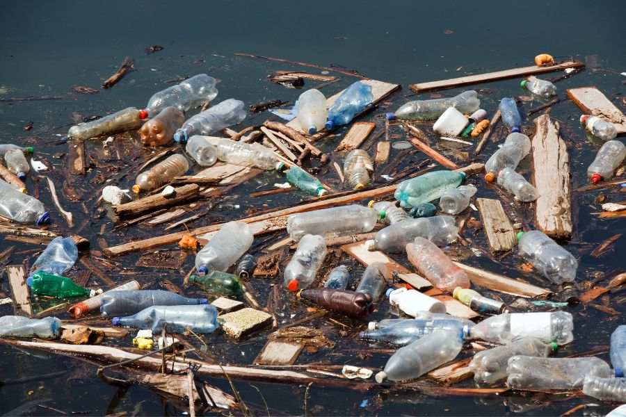 30+ Heartbreaking Water pollution images 5 water pollution image 4