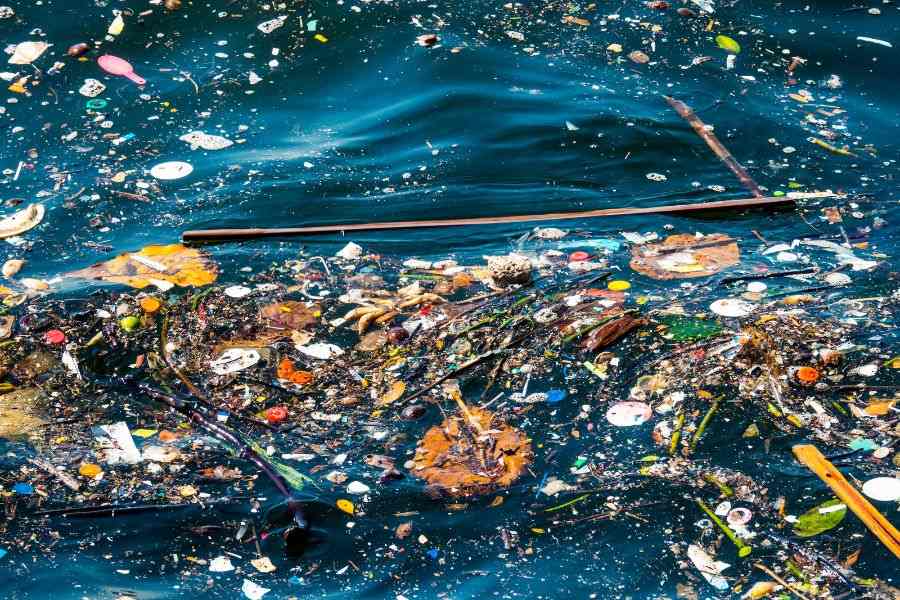 30+ Heartbreaking Water pollution images 2 water pollution images