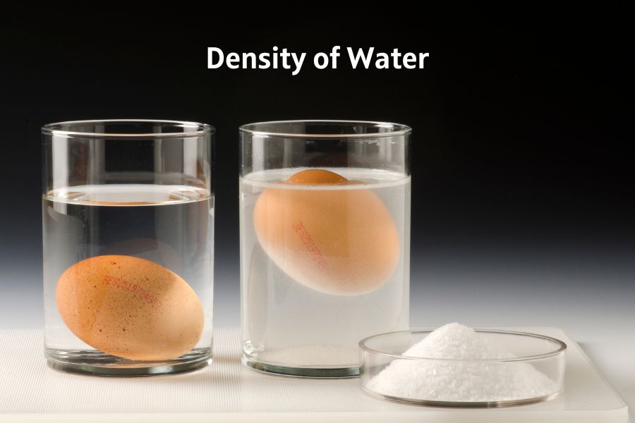 density of water
