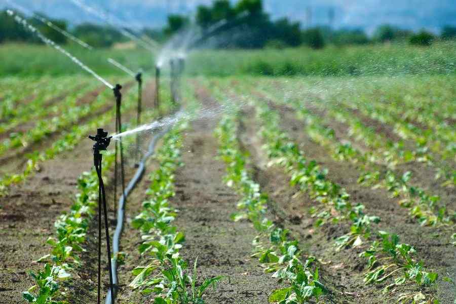 Uses of Water: Importance and Applications 2 irrigation
