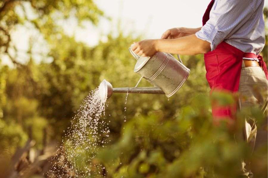 How to reuse RO waste water? 2 plants and gardens watering