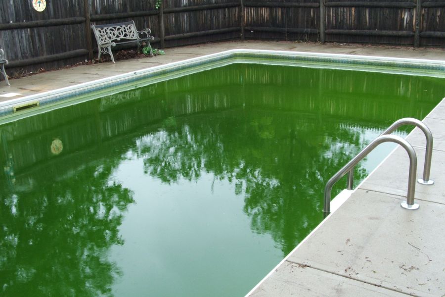 What is the color of water? 3 algae water