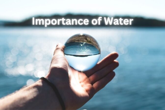 Importance Of Water: A Lifeline For All