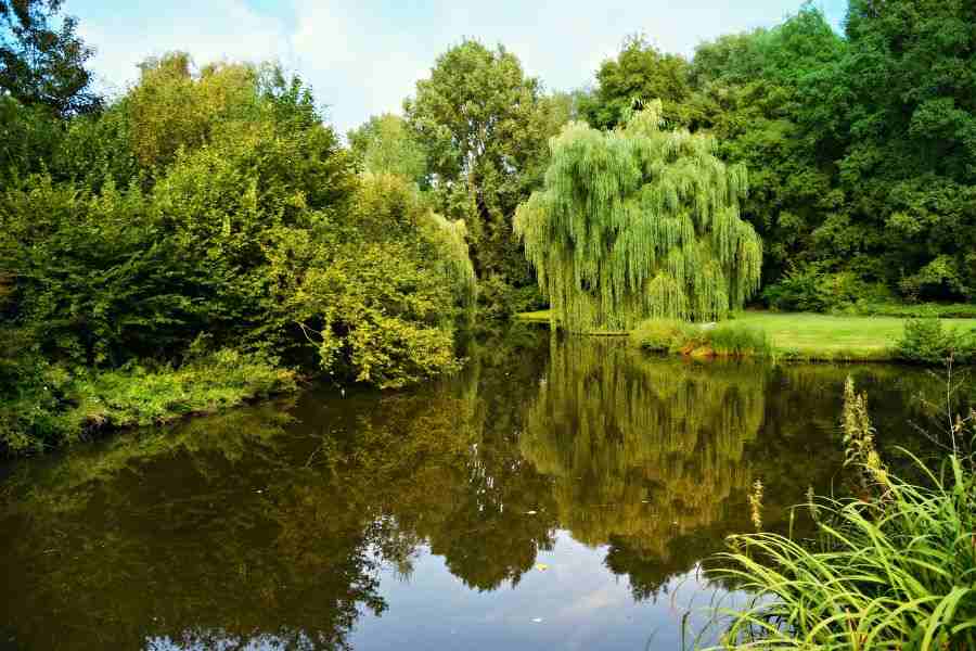 Discover 6 Essential sources of water 2 surface water