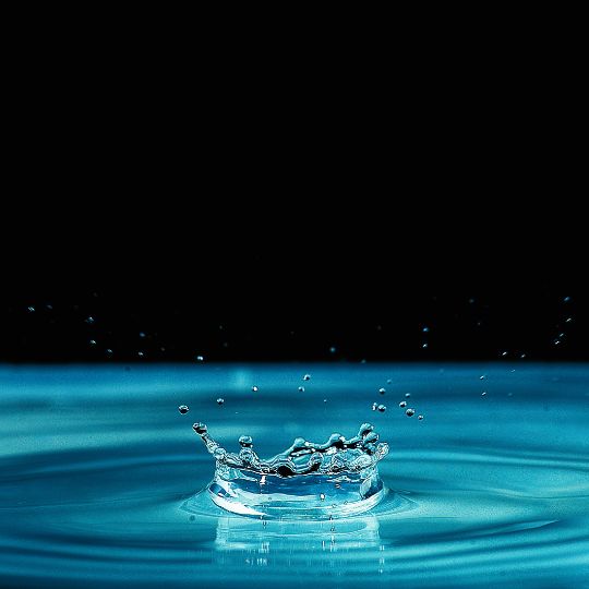 The Weight Of Water: Significance And Applications