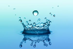What does water do? 2 Read more about the article What does water do?