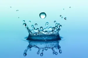 Read more about the article What does water do?